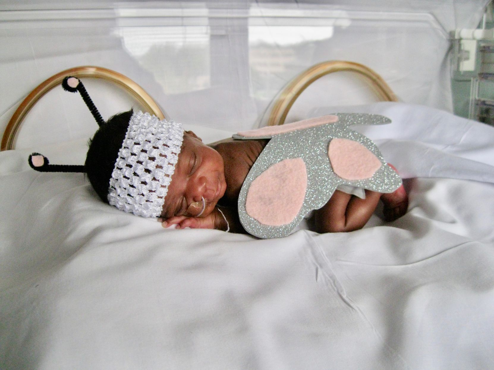 Baby Keanui.jpg